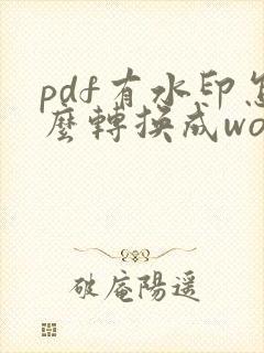 pdf有水印怎么转换成word