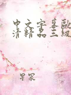 中文字幕欧美高清精品三级