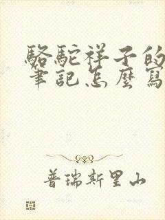 骆驼祥子的阅读笔记怎么写600字