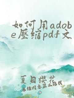 如何用adobe压缩pdf文件大小