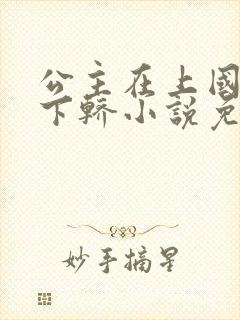 公主在上国师请下轿小说免费阅读