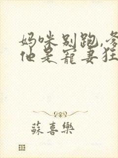 妈咪别跑,爹地他是宠妻狂魔