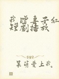 我赠妻子红缨枪短剧播放