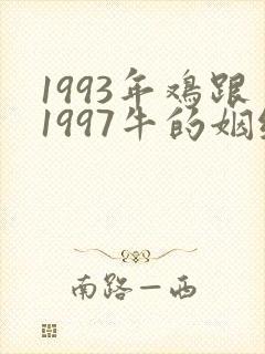 1993年鸡跟1997牛的姻缘