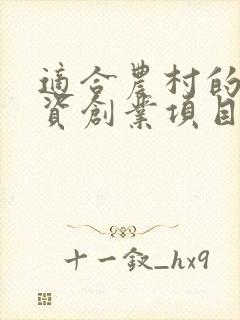 适合农村的小投资创业项目推荐