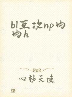 bl互攻np肉肉h