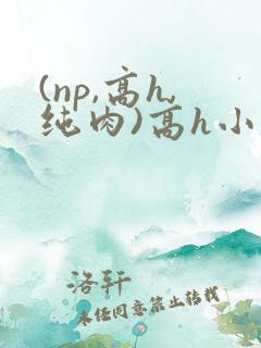 (np,高h,纯肉)高h小说