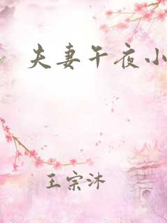 夫妻午夜小视频