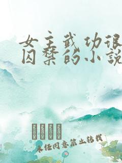 女主武功很高被囚禁的小说