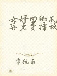 女婿回乡风光全集免费播放