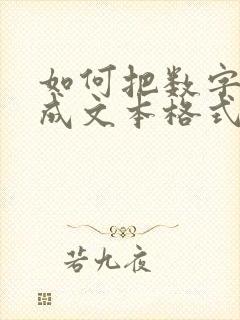 如何把数字转换成文本格式