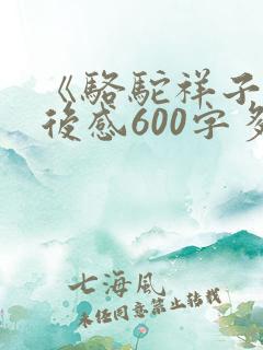 《骆驼祥子》读后感600字多篇