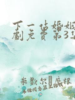 下一站婚姻电视剧免费第3集