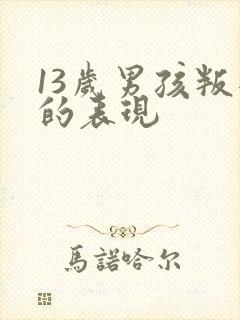 13岁男孩叛逆的表现