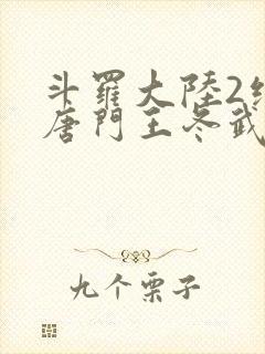 斗罗大陆2绝世唐门王冬武魂