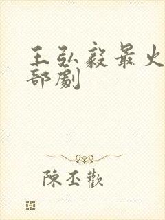 王弘毅最火的三部剧