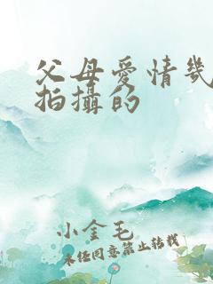 父母爱情几几年拍摄的