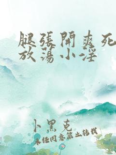 腿张开爽死你个放荡小淫