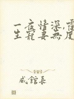 一夜情深,霍先生宠妻无度全书