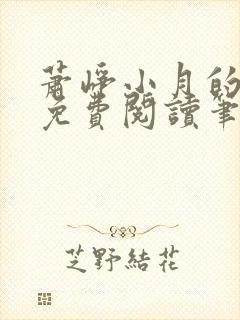 萧峥小月的小说免费阅读笔趣阁执掌风云