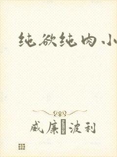 纯欲纯肉小说