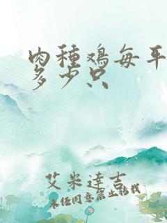 肉种鸡每平方养多少只