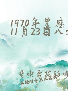 1970年农历11月23日八字
