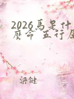 2026马是什么命 五行属什么