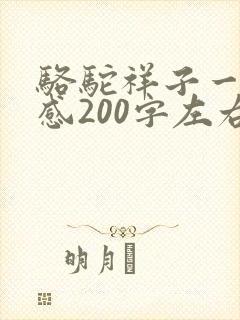 骆驼祥子一读后感200字左右
