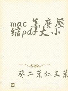 mac 怎么压缩pdf大小
