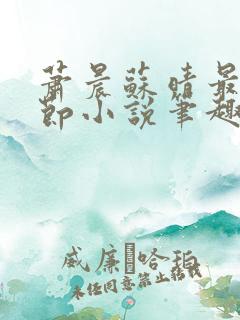 萧晨苏晴最新章节小说笔趣阁