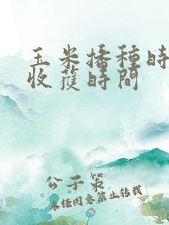 玉米播种时间和收获时间