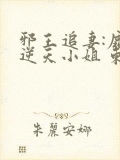 邪王追妻:废材逆天小姐 东泽长宫主*