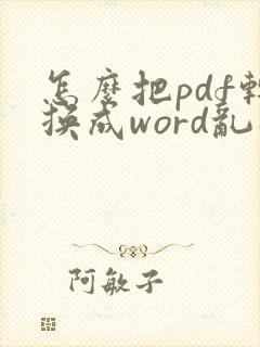 怎么把pdf转换成word乱码