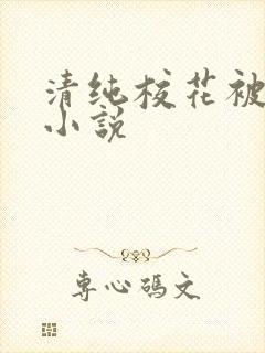 清纯校花被玩弄小说