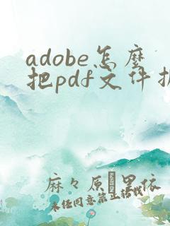 adobe怎么把pdf文件拆分成两个