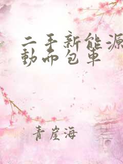 二手新能源纯电动面包车