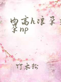 肉高h浪孕交怀孕np
