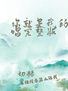 你就是我的人原唱完整版