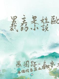 男主是姓欧的总裁的小说