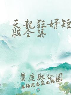 天龙狂婿短剧完版全集