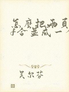 怎么把两页pdf合并成一个页面