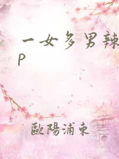 一女多男辣文np