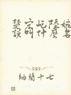 楚宏屹陆婉梅小说叫什么名字