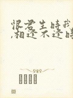 恨君生时我未生,相逢不逢时