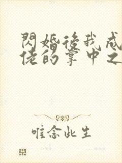 闪婚后我成了大佬的掌中之物46集