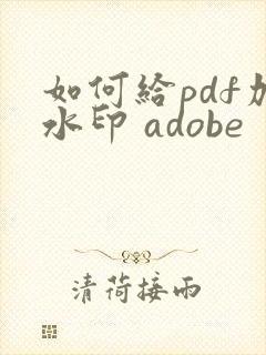 如何给pdf加水印 adobe