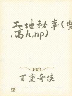 工地秘事(双性,高h,np)