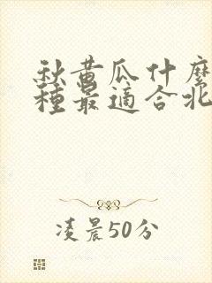秋黄瓜什么时候种最适合北方