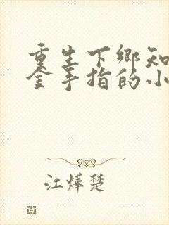 重生下乡知青带金手指的小说
